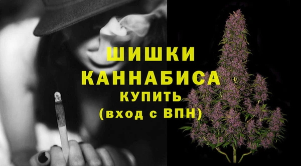 молекула духа Карпинск