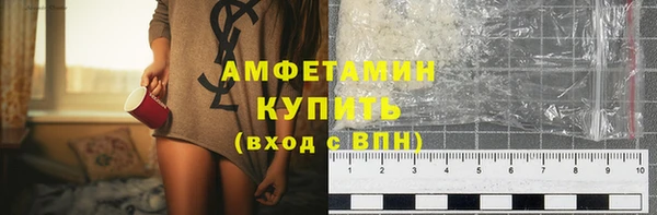 молекула духа Карпинск