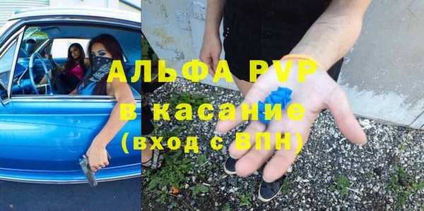 мет Касимов