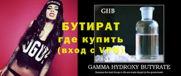 шишки Каменногорск