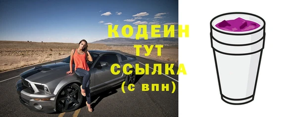 молекула духа Карпинск