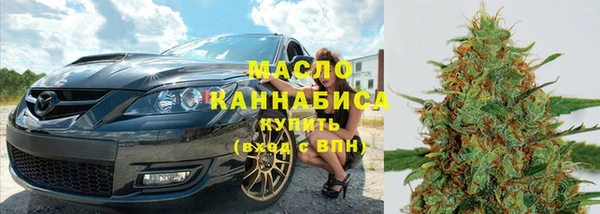 мдпв Каменка