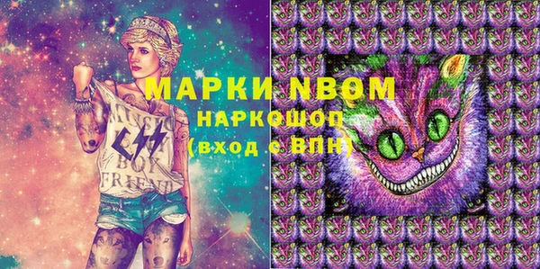 мет Касимов