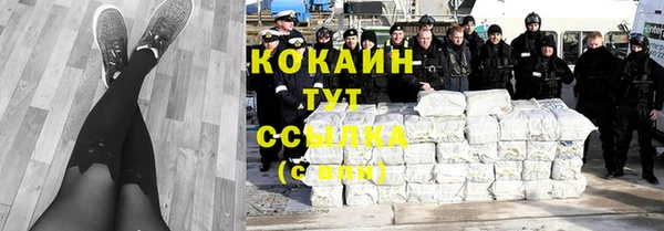 молекула духа Карпинск