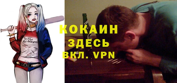 мет Касимов